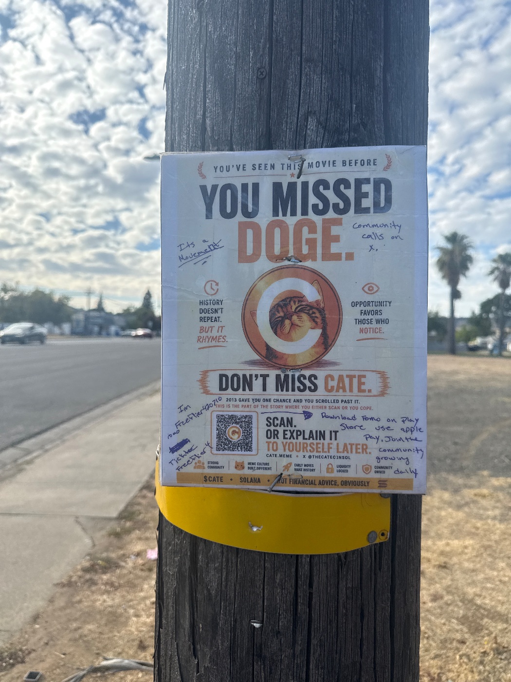 A $CATE flyer in the wild