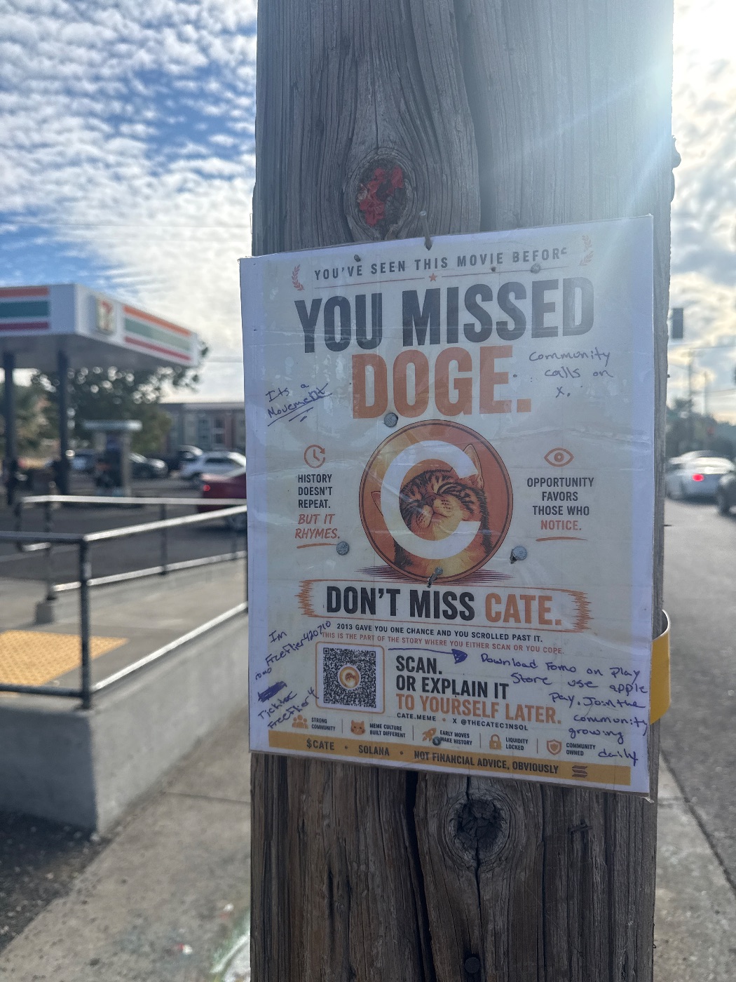A $CATE flyer in the wild