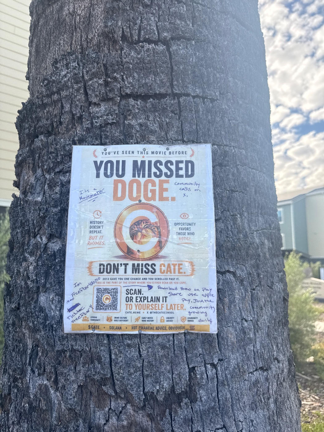 A $CATE flyer in the wild