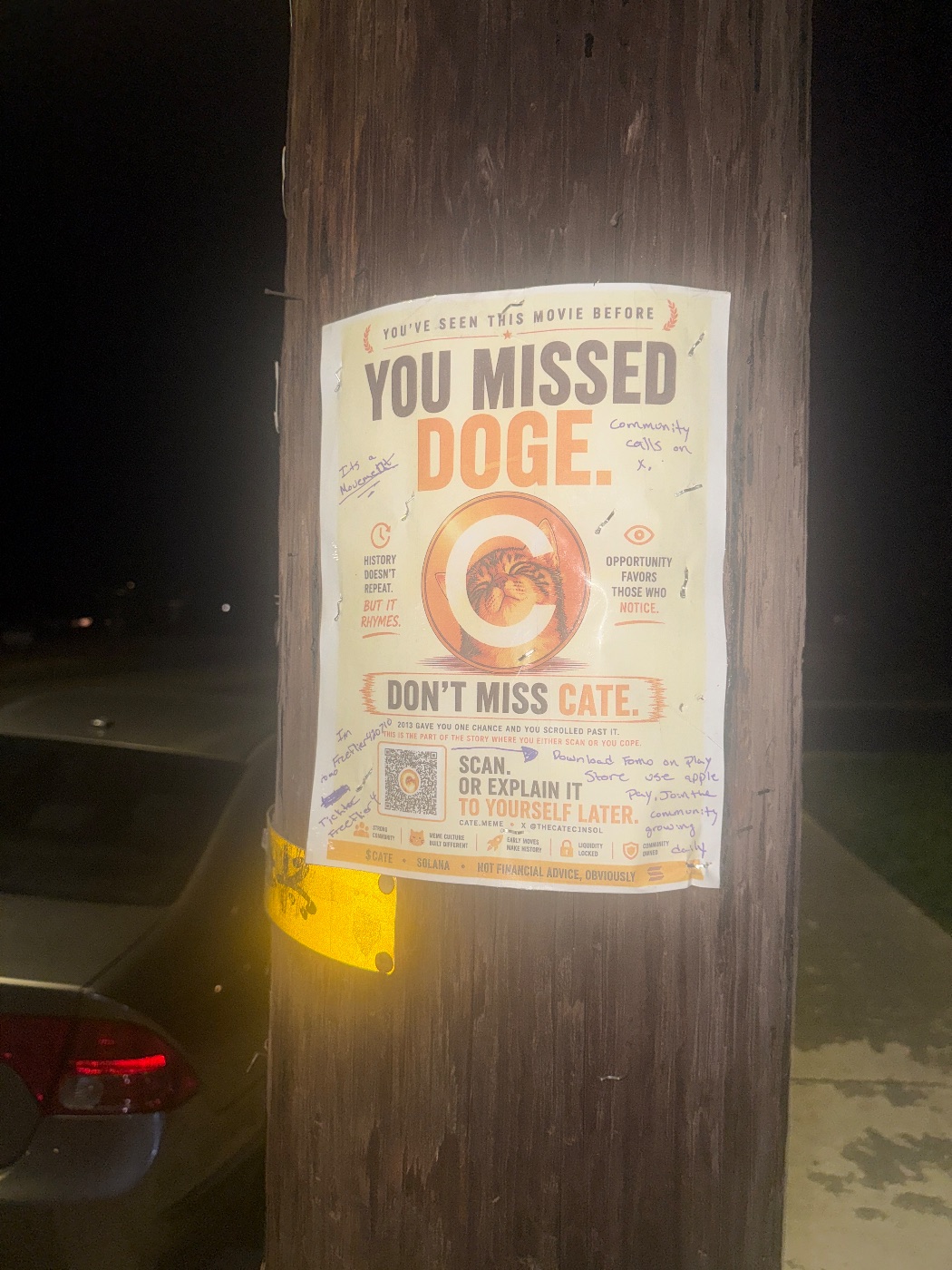 A $CATE flyer in the wild