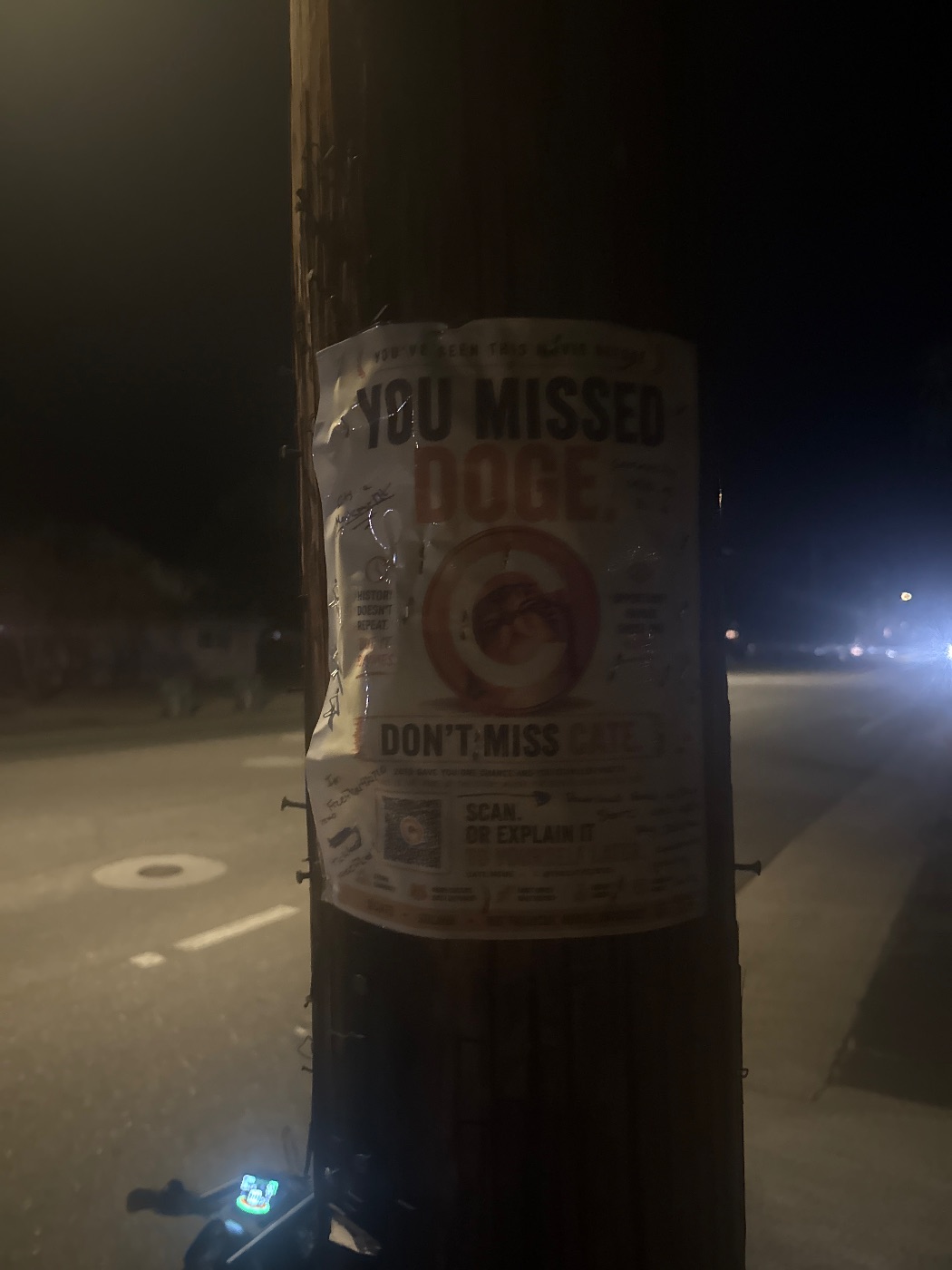 A $CATE flyer in the wild