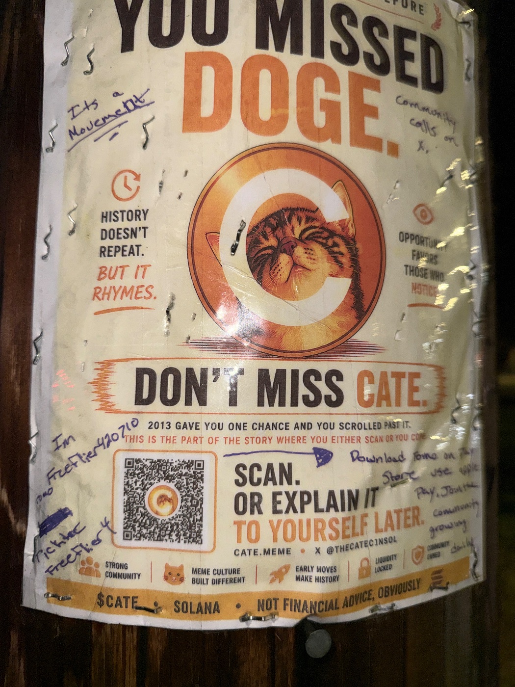 A $CATE flyer in the wild