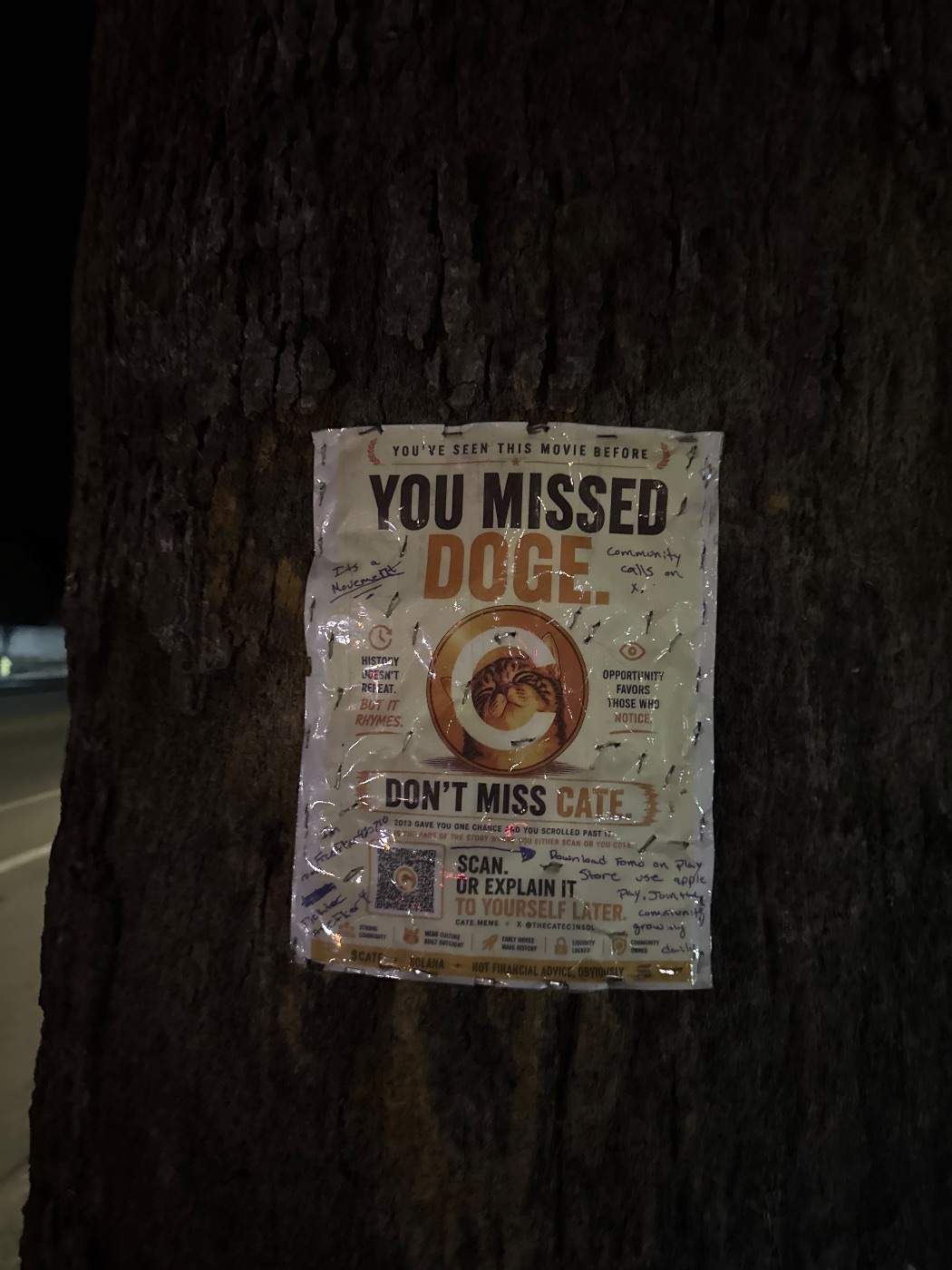 A $CATE flyer in the wild