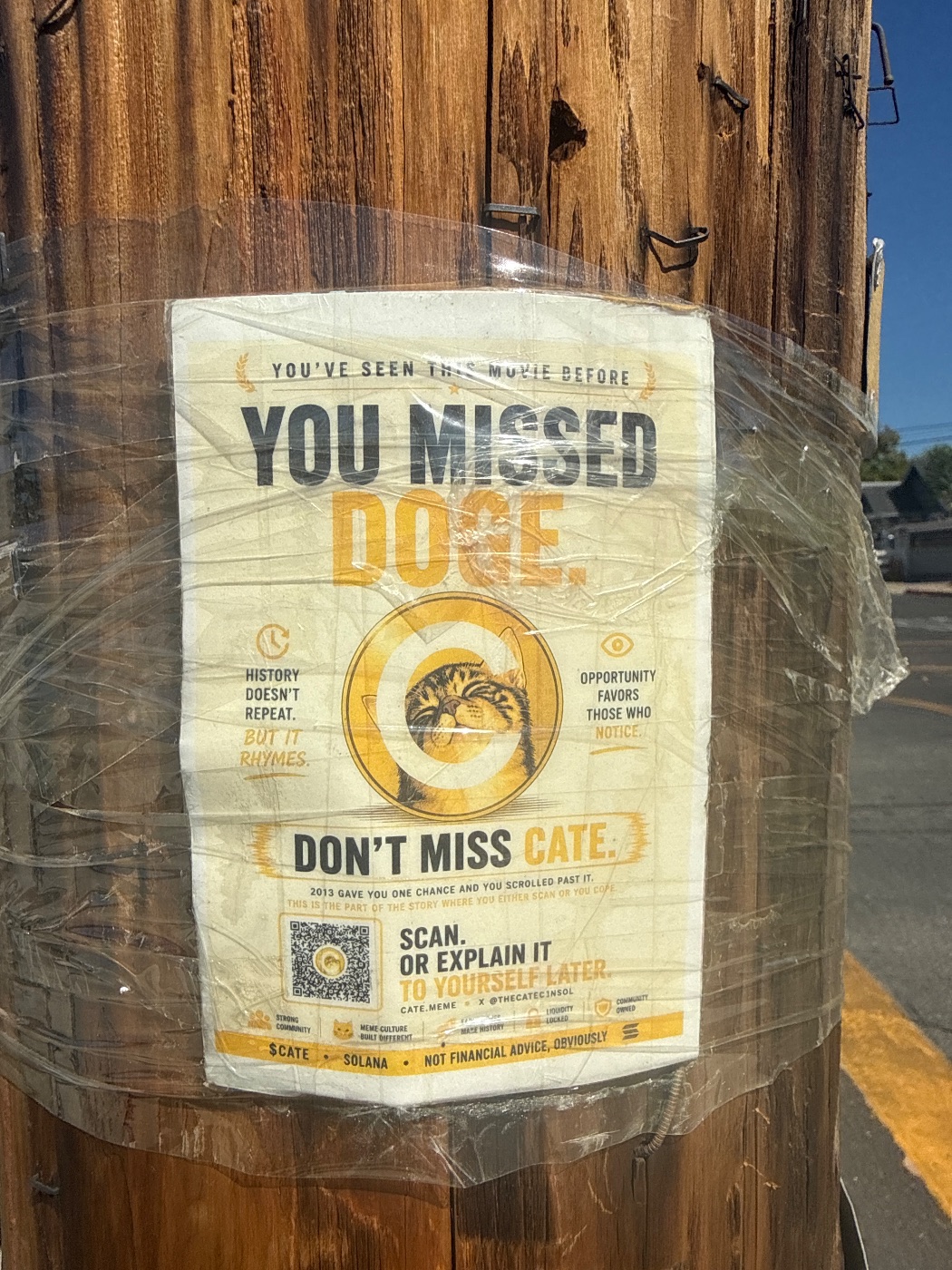 A $CATE flyer in the wild