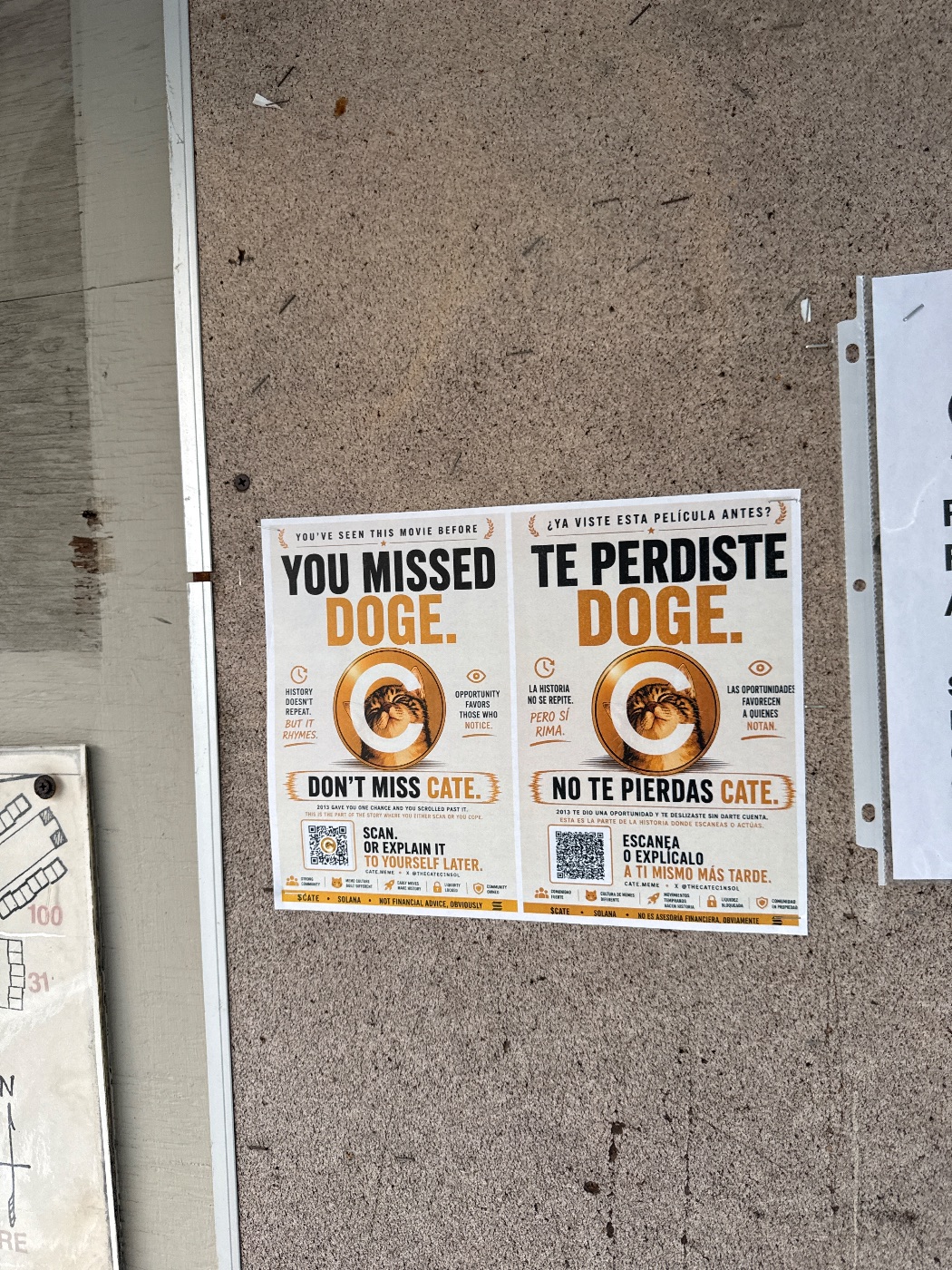 A $CATE flyer in the wild