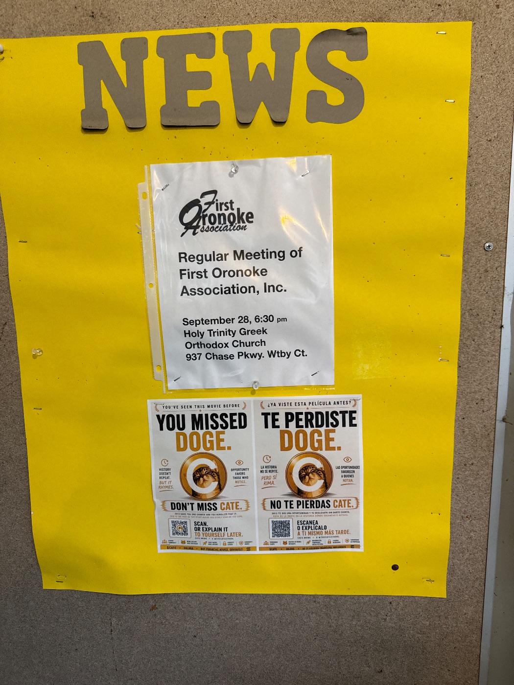 A $CATE flyer in the wild